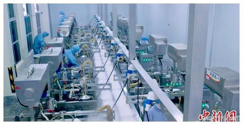 台商深耕江西 以科技为翼，推动传统食品传承与生物化工创新